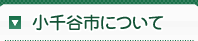 中欧体育app ときどきお姫様が作った料理が食べられます